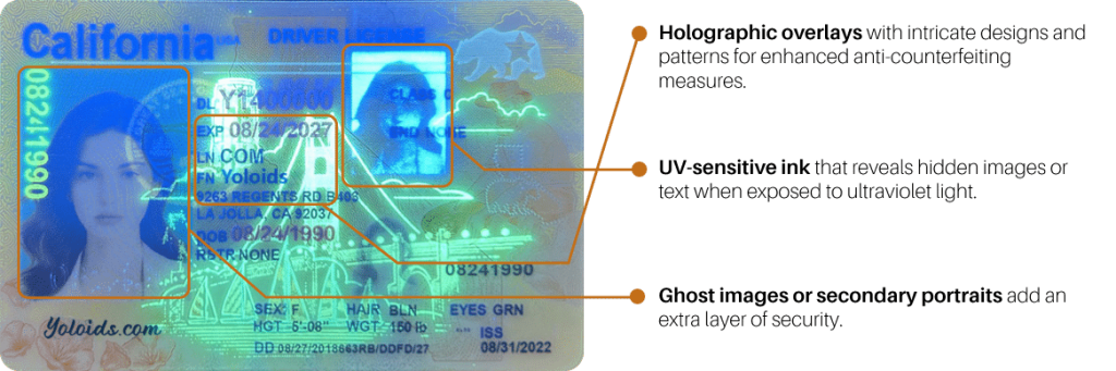 How do I get a Fake ID - California Fake ID | California Fake Driver's License