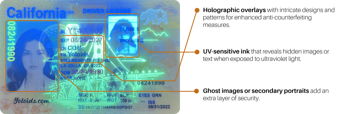 How do I get a Fake ID - California Fake ID | California Fake Driver's License